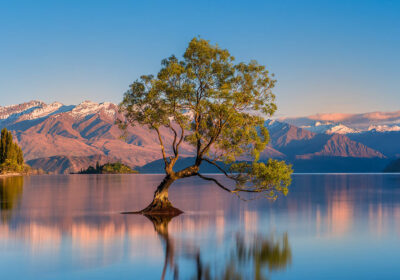 Wānaka & Cardrona Scenic Tour