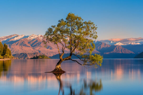 Wānaka & Cardrona Scenic Tour