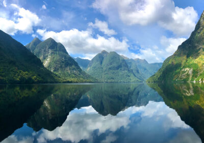 Doubtful Sound Experience