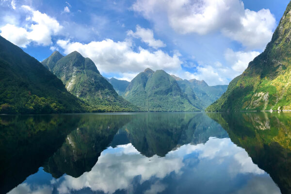 Doubtful Sound Experience