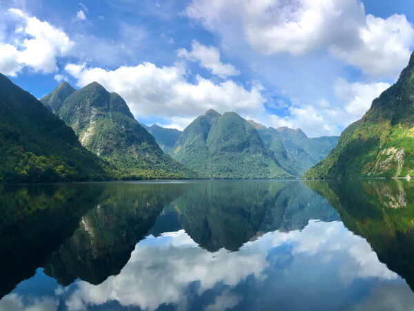 Doubtful Sound Experience