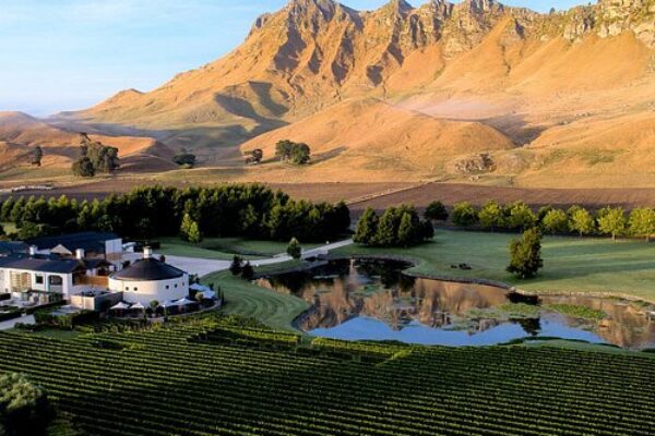 Central Otago Wine Experience