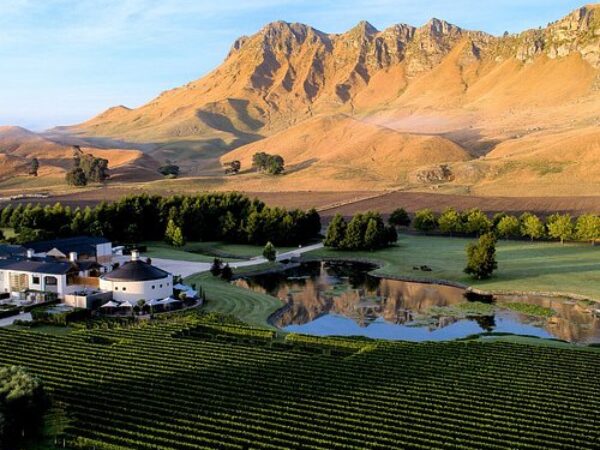 Central Otago Wine Experience