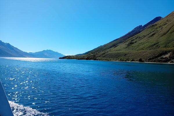 Queenstown Scenic Escape