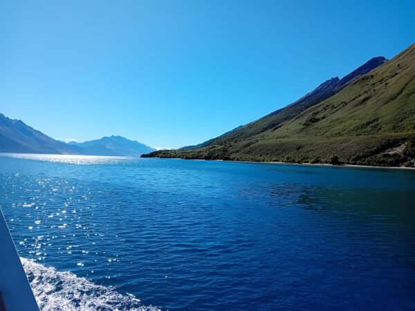 Queenstown Scenic Escape